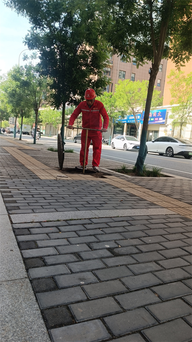 ΢ňDƬ_20250513143830.jpg